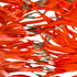 Orange 1.1mm high-performance latex flat band with 20mm-12mm taper for powerful slingshot shooting | Armament Mfg.